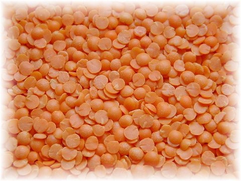 recette cuisson des lentilles corail