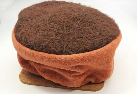 recette lentilles vertes